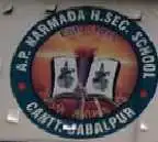A.P. Narmada College, Jabalpur Logo