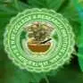 Sri Sri Nrusinghnath Ayurved College and Research Institute, Bargarh Logo