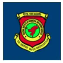 Regional Institute of Paramedical and Nursing Sciences, Aizawl Logo