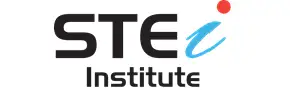 STEi Institute, Singapore Logo