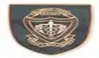 Byramjee Jeejeebhoy Government Medical College and Sassoon General Hospitals, Pune Logo