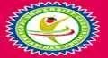 OPJS University, Rajasthan - Other Logo