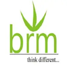 BRM International Institute of Technology, Bhubaneswar Logo