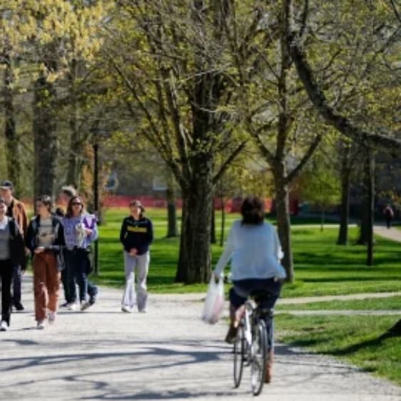 Students attending a career guidance session at a college campus